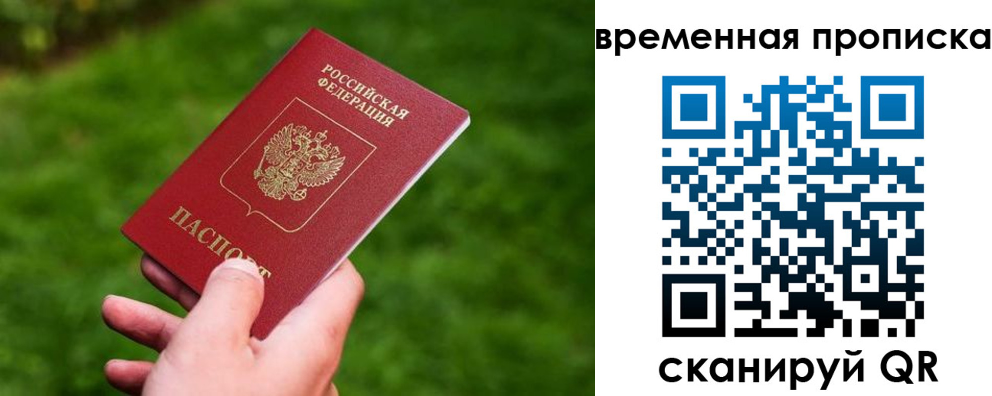 прописка ребенка в Щёкино